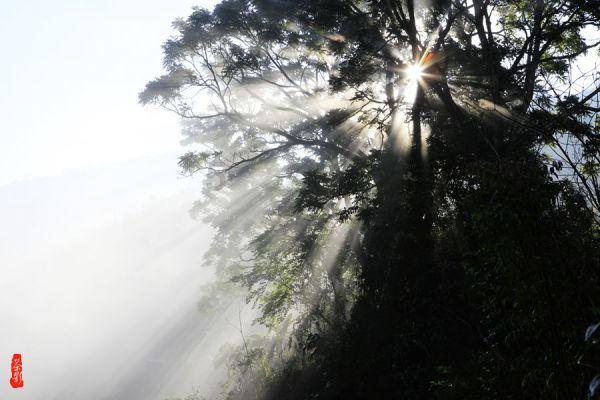 心血管疾病患者如何预防呼吸道感染？专家给出五点提示