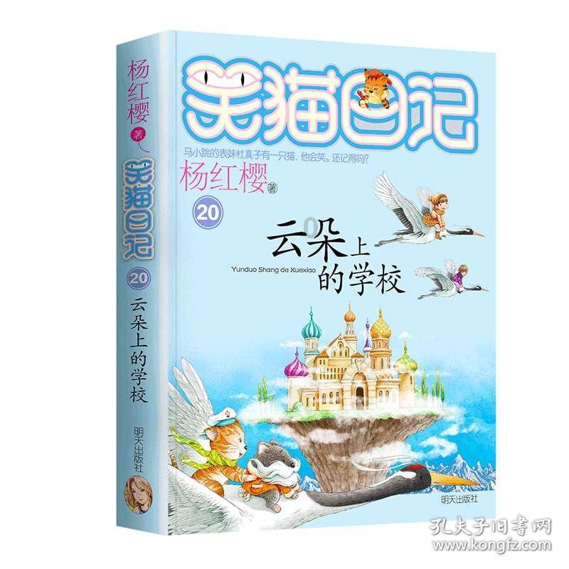 清理脏乱的宫殿