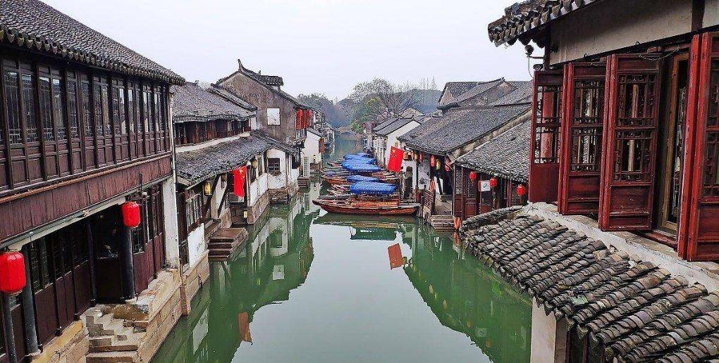 狗狗吃了十几个葡萄怎么办？游戏画面