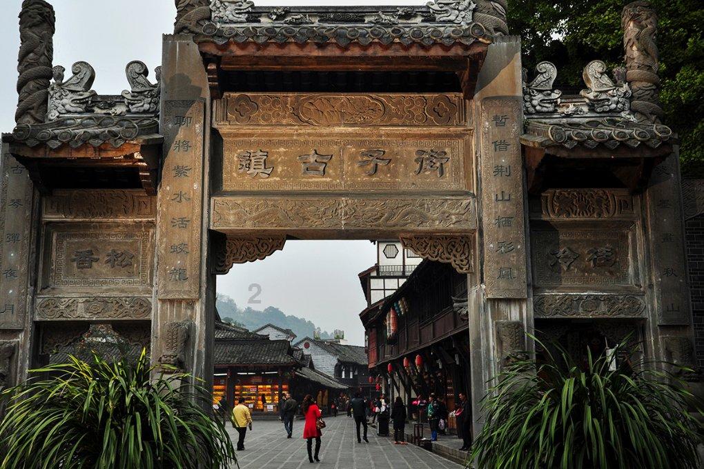 小长颈鹿逃离